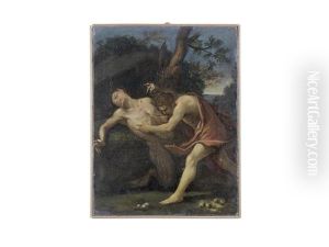 Apollo And Marsyas by Giovanni Francesco Romanelli