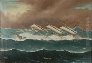 The Speedonia by Reginald Arthur Borstel