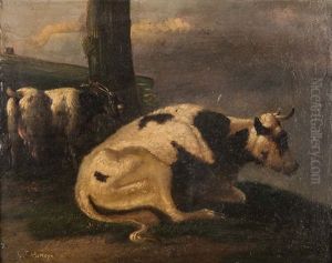 Resting Cow