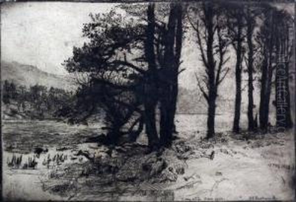 Landscape Scene - view 1