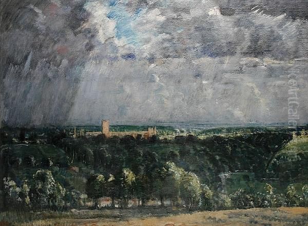 Richmond Park - view 1