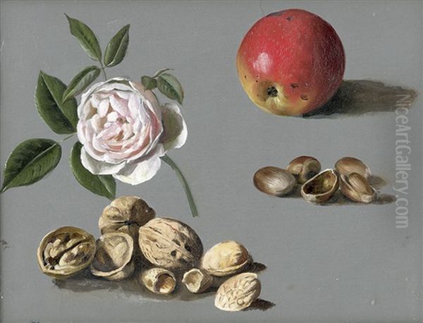 Studie Mit Rose, Rotem Apfel Und Nussen - view 1