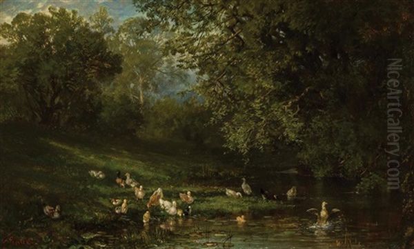 Ducks By A Pond - view 1