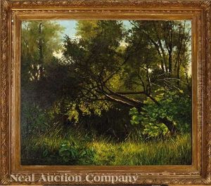 A Flock Of Wild Turkeys In The Woods by Frederick Rondel
