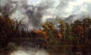 Downpour In The Swamp