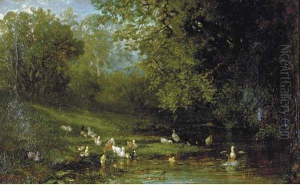 Ducks And Ducklings By A Pond - view 1