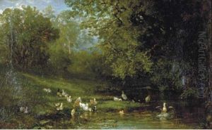 Ducks And Ducklings By A Pond