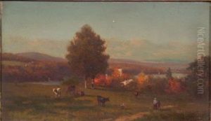 Cattle Pasture