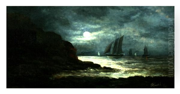 Nocturnal Seascape - view 1