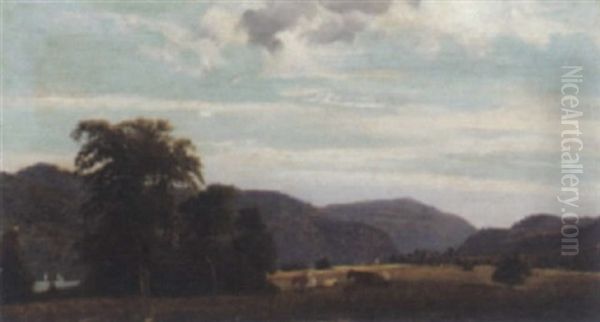 The Meadow - view 1