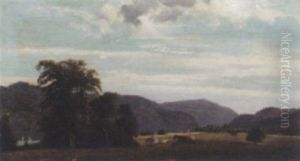 The Meadow