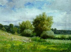 Sheep In A Pasture by Frederick Rondel