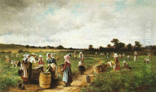 Picking Beans In New Jersey - view 1