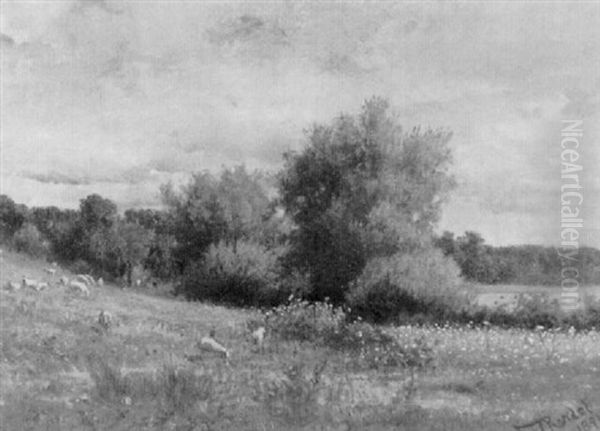 Landscape With Sheep - view 1