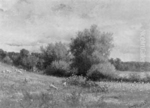 Landscape With Sheep