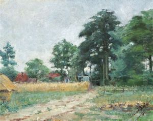 Summer Landscape Summer Landscape