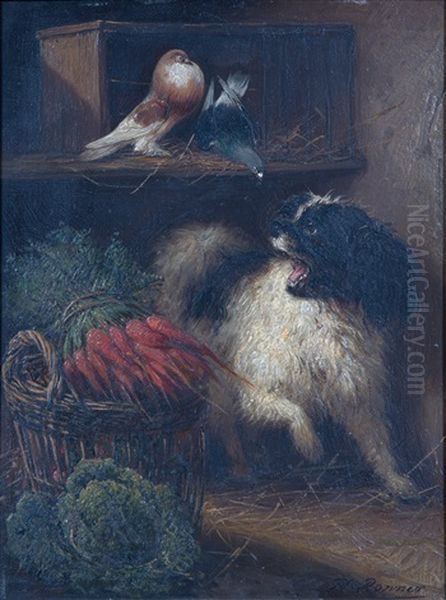 Dog Barking Against Two Doves - view 1