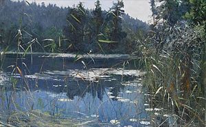 Insjolandskap Med Nackrosor Insjolandskap Med Nackrosor