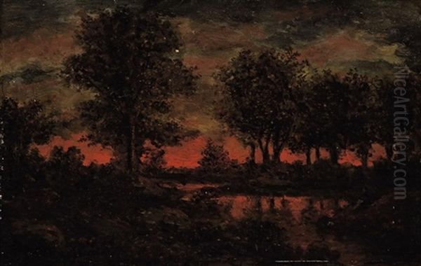 Soleil Couchant Sur La Mare En Foret - view 1