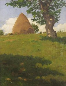 Szenaboglya