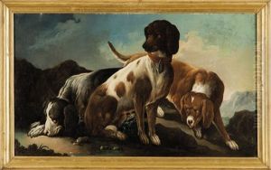 Cani Da Caccia by Cajetan Roos