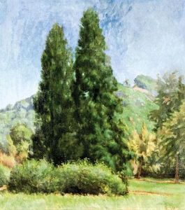 Parkreszlet