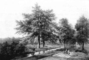 Summer: Peasantwomen Conversing On A Country Road