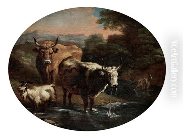 Cattle And Goats Drinking At A Stream - view 1