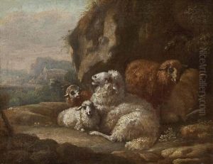 Schafe Unter Felsen Ruhend Schafe Unter Felsen Ruhend