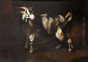 Chevre Dans Un Paysage by Johann Heinrich Roos