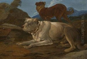 Two Dogs In A Rocky Landscape Two Dogs In A Rocky Landscape