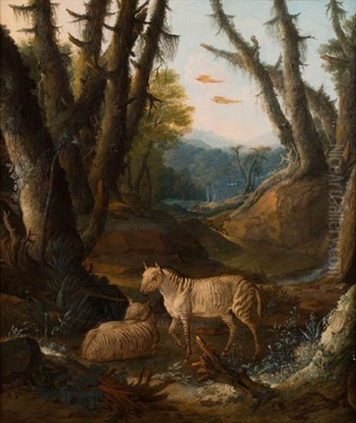 Zebres Dans Un Paysage De Foret - view 1