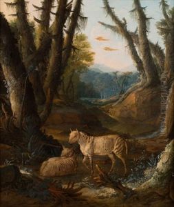 Zebres Dans Un Paysage De Foret