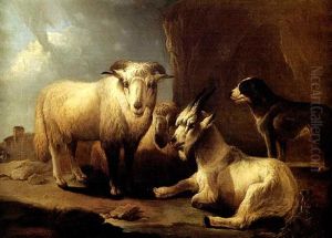 Troupeau Avec Un Chien De Berger Troupeau Avec Un Chien De Berger