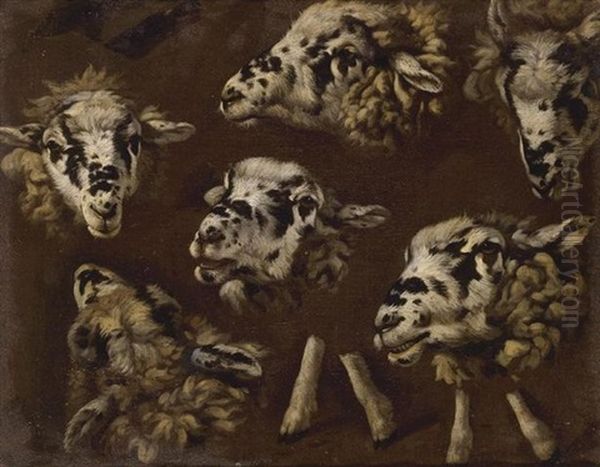 A Study Of Heads And Sheep - view 1