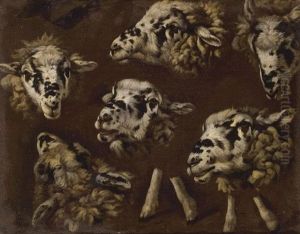 A Study Of Heads And Sheep by Johann Melchior Roos