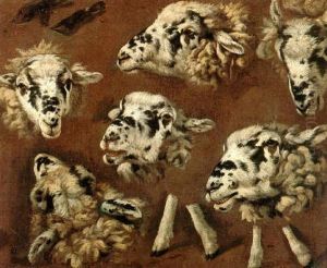 Heads Of Sheep Heads Of Sheep