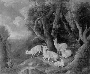 Weisses Hirschrudel Auf Einer Waldlichtung by Johann Melchior Roos