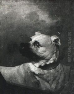 A Mastiff