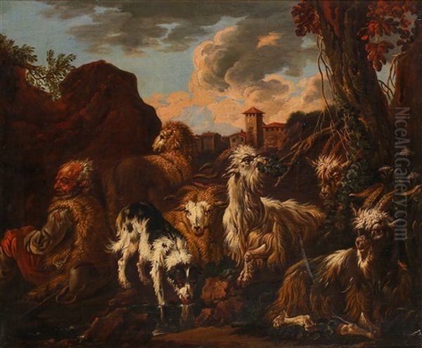 Goats - view 1