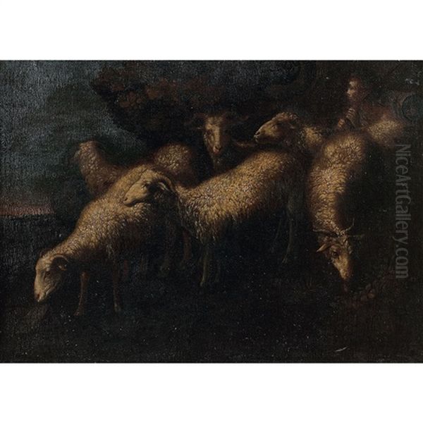 Les Moutons - view 1