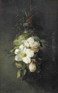 A Swag Of Wild White Roses