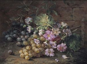 Purple Primulas With Grapes
