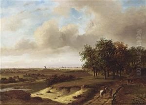 An Extensive Summer Landscape