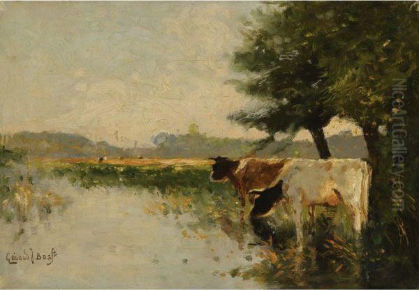 Cattle Watering At A Pond - view 1