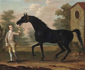 Oronoco, Held By A Groom, In A Landscape