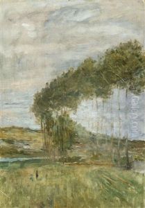 Environs De Thozee - Allee Aux Peupliers