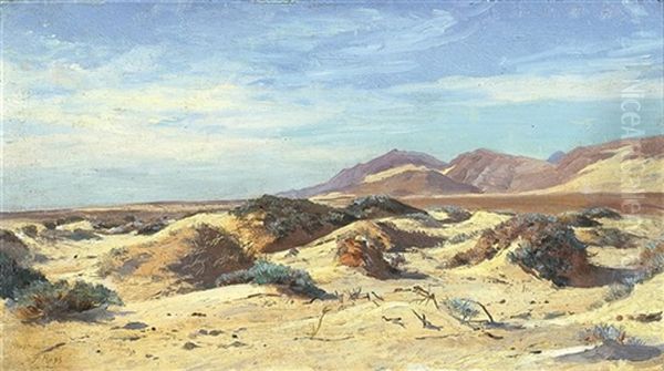 Heyst -zeezicht En Duinen - view 1