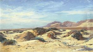 Heyst -zeezicht En Duinen Heyst -zeezicht En Duinen