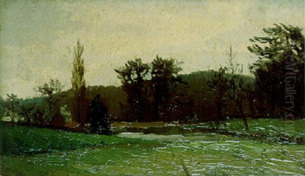 Paysage Ardennais - view 1